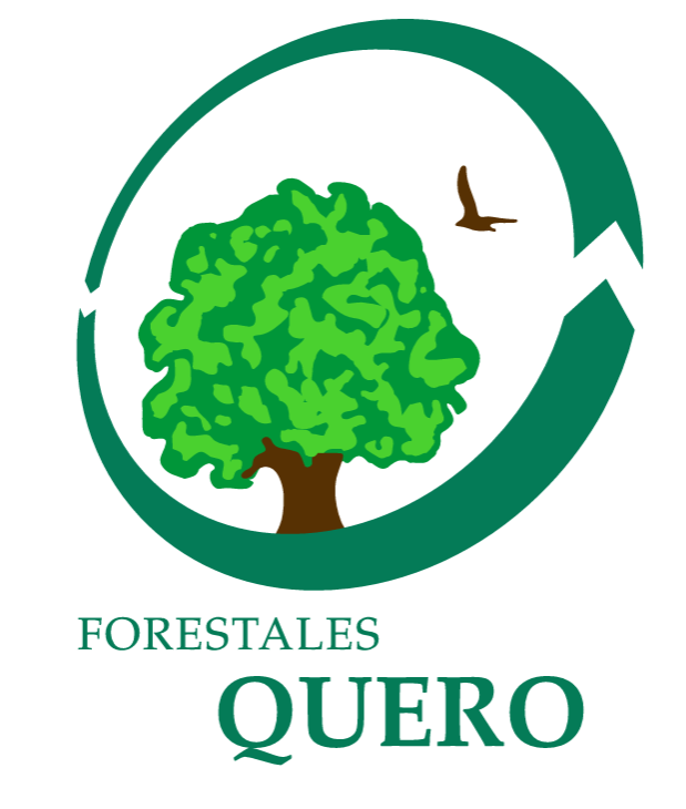 Forestales Quero